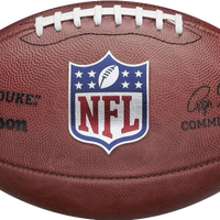 NFL ON-FIELD FOOTBALL CURRENT ROGER GOODELL "THE DUKE" AUTHENTIC GAME BALL