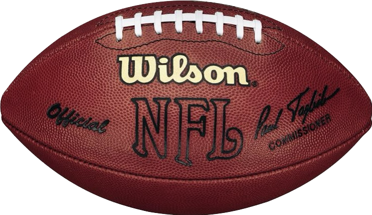 Official Wilson NFL Football The Duke Roger Goodell - New with Tag $99.99