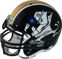 NOTRE DAME FIGHTING IRISH REAL GOLD LEAF - 2012 SHAMROCK SERIES NCAA XP AUTHENTIC HELMET