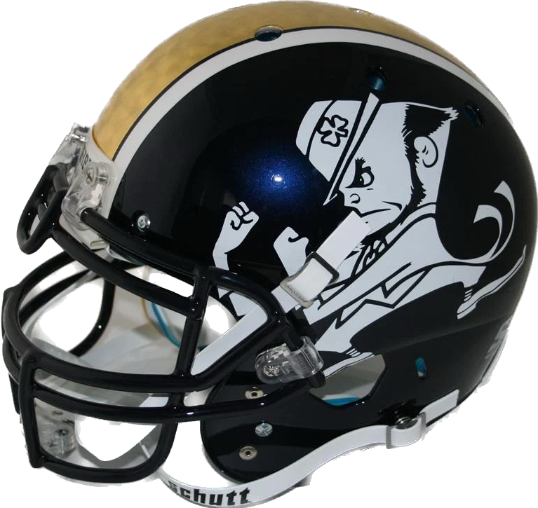 authentic notre dame football helmet NOTRE DAME FIGHTING IRISH REAL GOLD LEAF - 2012 SHAMROCK SERIES NCAA X