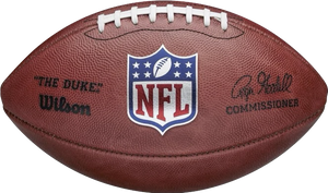 NFL ON-FIELD FOOTBALL CURRENT ROGER GOODELL "THE DUKE" AUTHENTIC GAME BALL