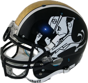NOTRE DAME FIGHTING IRISH REAL GOLD LEAF - 2012 SHAMROCK SERIES NCAA X NOTRE DAME FIGHTING IRISH REAL GOLD LEAF - 2012 SHAMROCK SERIES NCAA X