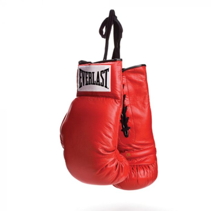 EVERLAST RED VINYL BOXING GLOVES - SOLD AS PAIR